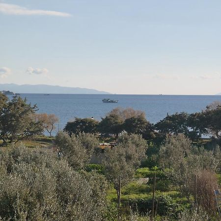 Mina'S Studios In Naxos Island Άγιος Προκόπιος Εξωτερικό φωτογραφία