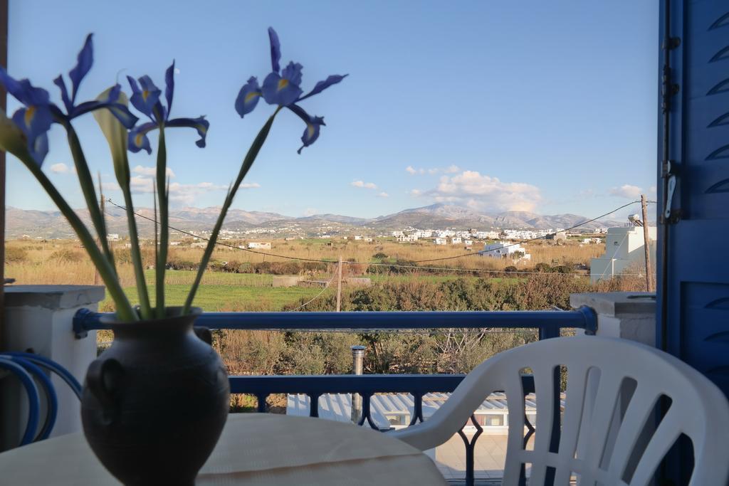 Mina'S Studios In Naxos Island Άγιος Προκόπιος Εξωτερικό φωτογραφία