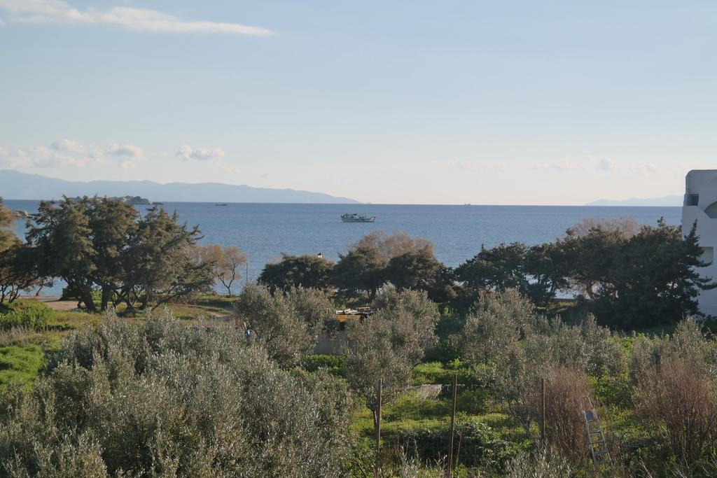 Mina'S Studios In Naxos Island Άγιος Προκόπιος Εξωτερικό φωτογραφία