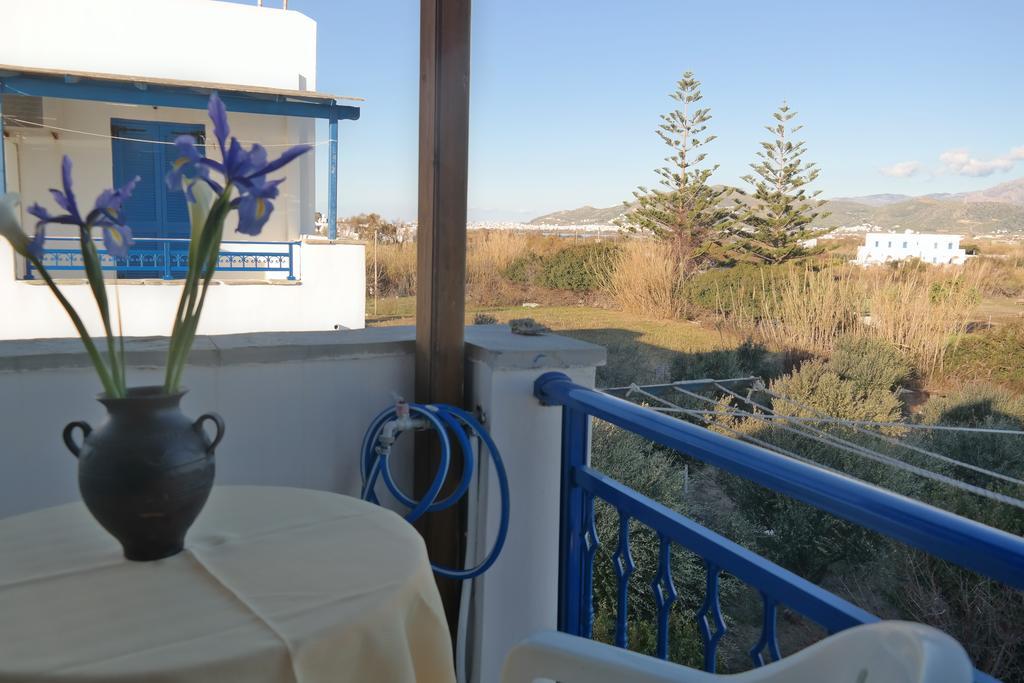 Mina'S Studios In Naxos Island Άγιος Προκόπιος Δωμάτιο φωτογραφία